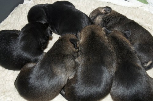 DSC_0474- Phase One Capture 5 Adjusted_1024x683