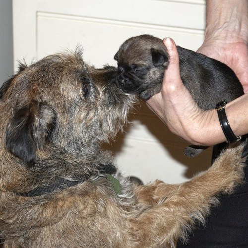 DSC_0493- Phase One Capture 5 Adjusted_768x768