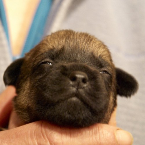 DSC_0509- Phase One Capture 5 Adjusted_768x768