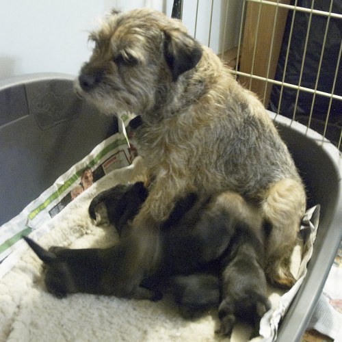 DSC_0539- Phase One Capture 5 Adjusted_768x768