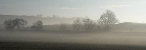 DSC_0678- Phase One Capture 5 Adjusted_750x260