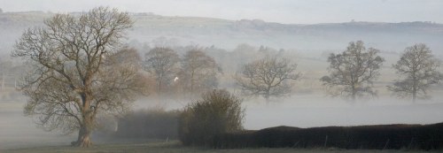 DSC_0687- Phase One Capture 5 Adjusted_750x260