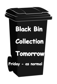 Black bin DAy