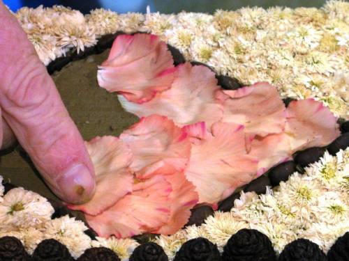 Tissington Well Dressings Day 2 07