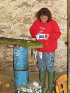 Well Dressings 2011 007