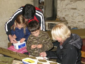 Well Dressings 2011 013