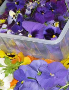 tissington well dressing day 3 019