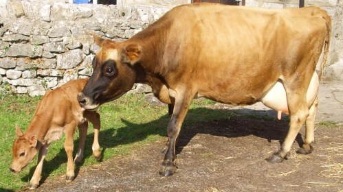 New Baby 2 30.9.11 003