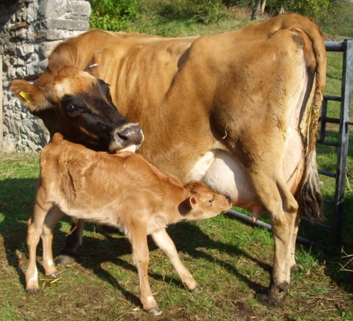 New Baby 2 30.9.11 009