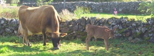 New Baby 2 30.9.11 011a