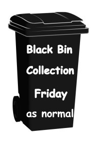 Black bin Friday