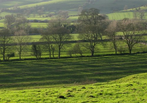 Sunny Winter Day 049