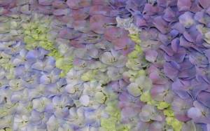 Well Dressings Day 2 013