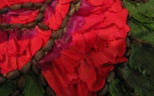 Well Dressings Day 2 021