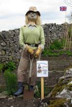 Well Dressings on Display 020