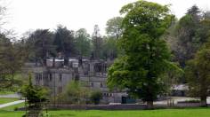 Well Dressings on Display 022