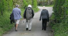 Well Dressings on Display 026