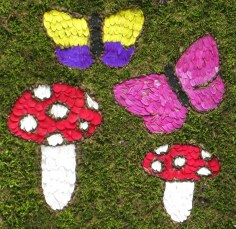 Well Dressings on Display 044