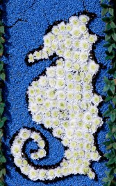 Well Dressings on Display 070