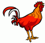 chicken