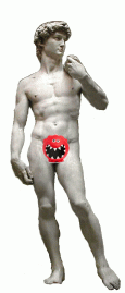 david