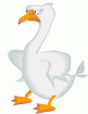 goose