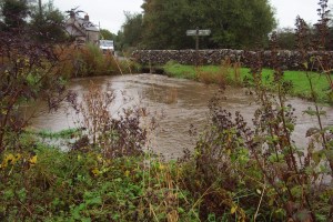 Brok and pond at 1 pm 002