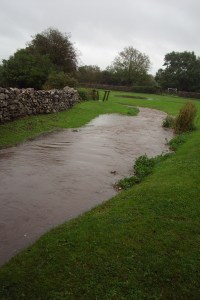 Brok and pond at 1 pm 009