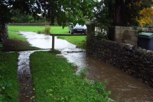 Brok and pond at 1 pm 012