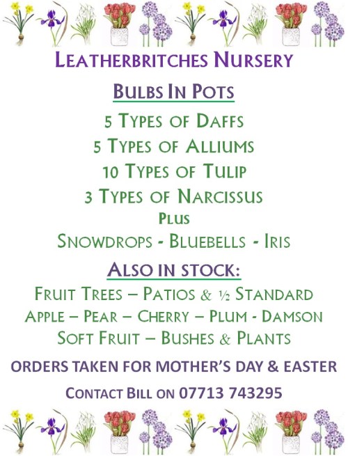 Leatherbritches spring 2014