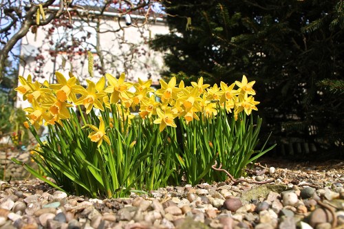 photos by David Goldstraw