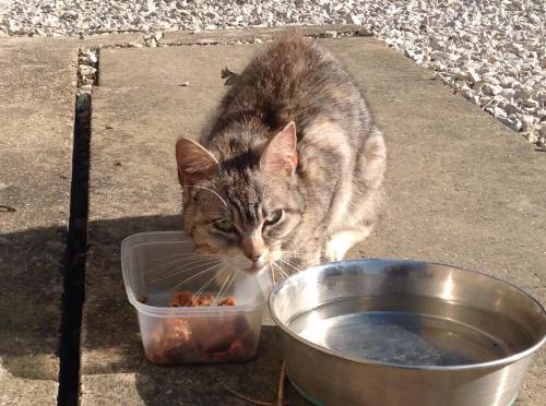 11156758_639081739556761_1881776847_n