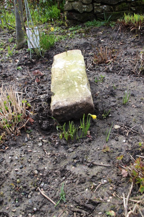 2.c.4 "Nature uproots stone"