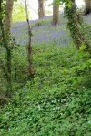 IMG_0019