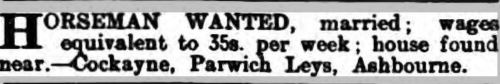 1917 28 Apr DA&amp;J horseman wanted