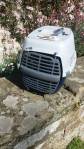 cat carrier 1