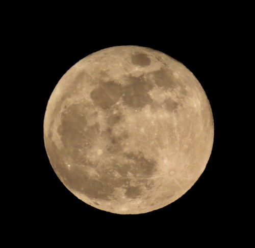 F902AC08-DB54-4DAC-8B1D-96F4FD8B97D1