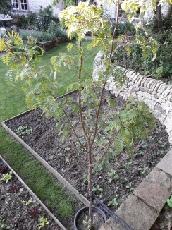 20180528_190654_resized