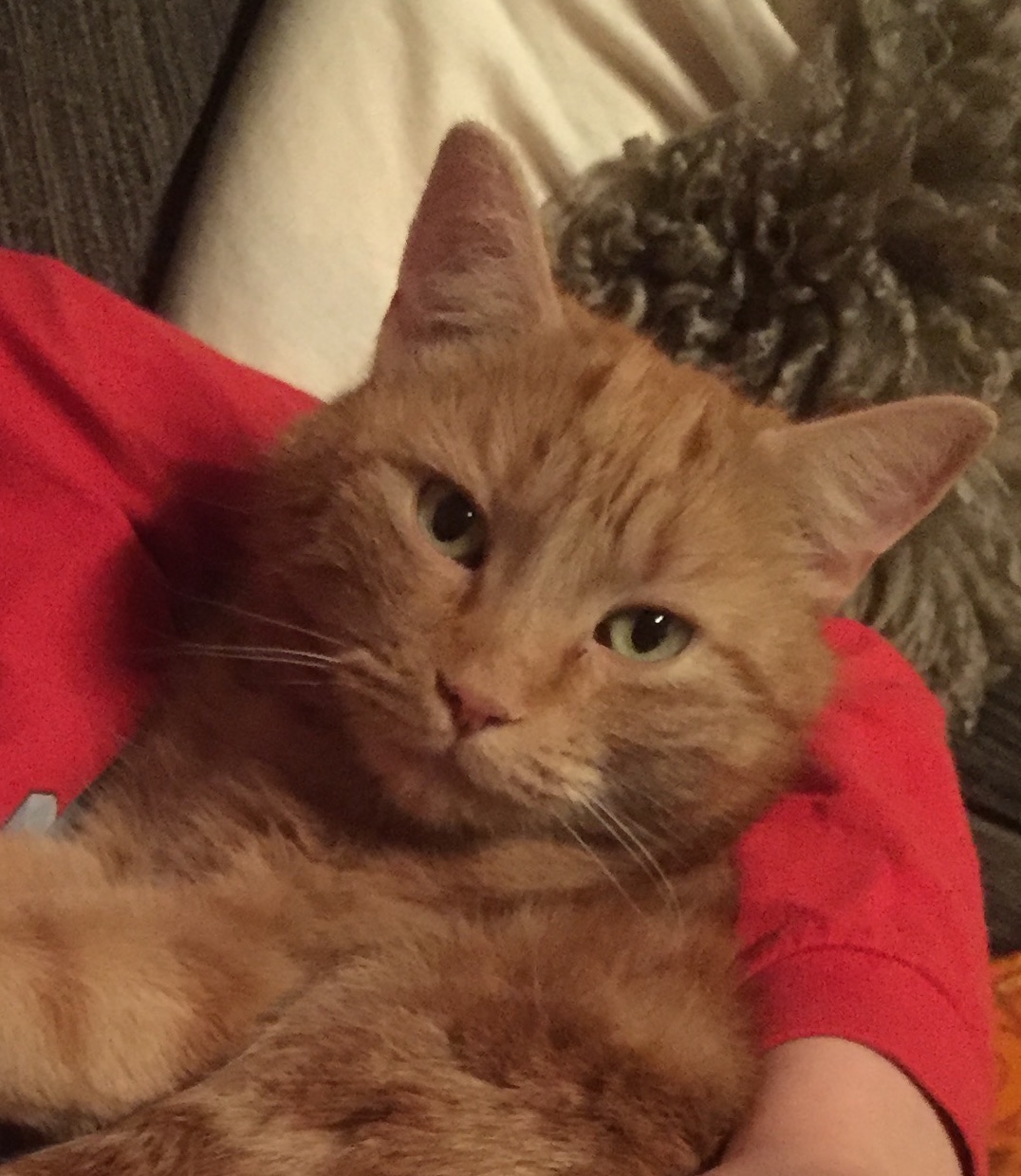 7A3CE720-FA89-4D97-AFCA-D5755265996B