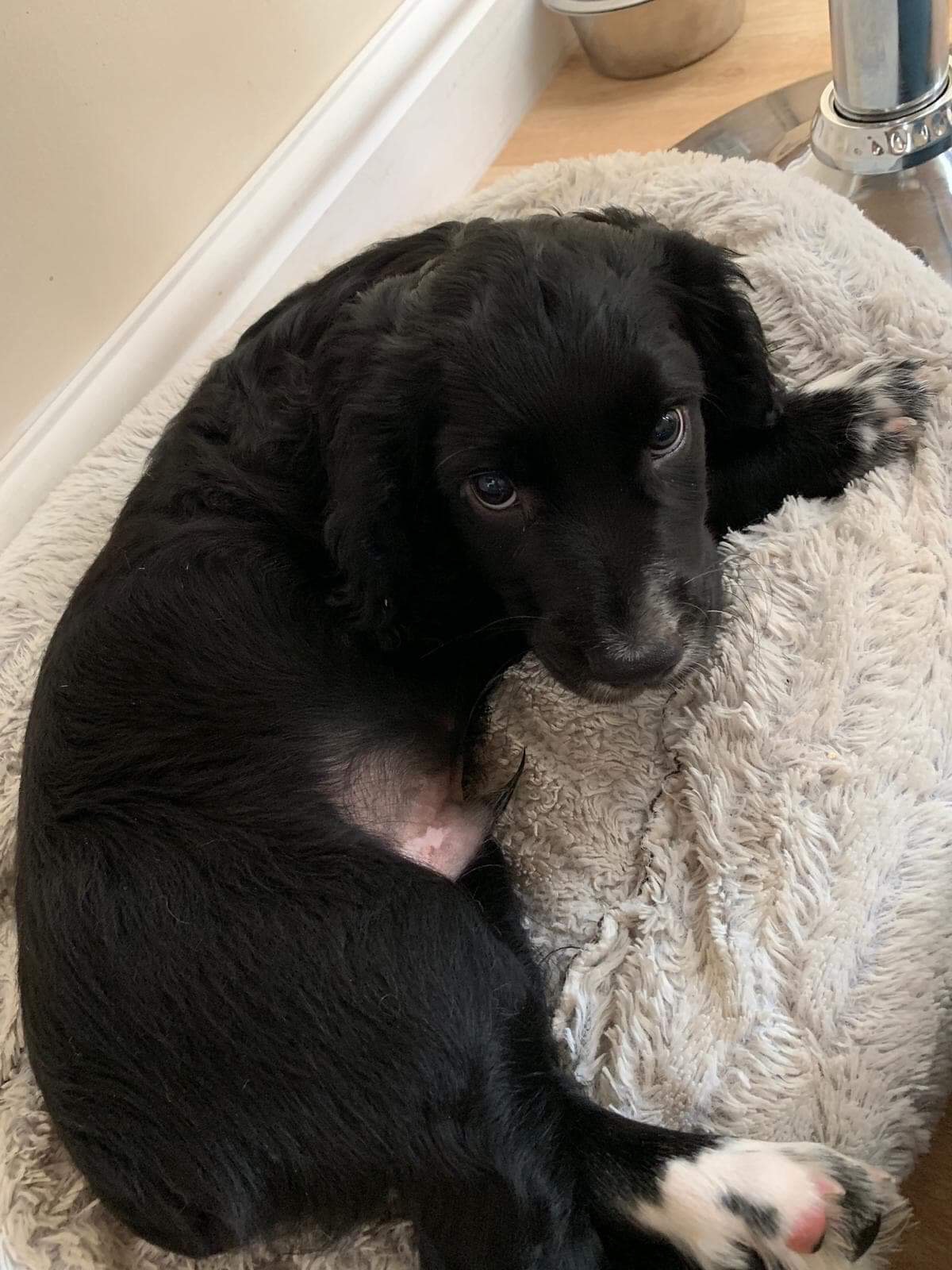 E4E5F225-1E94-41DF-8B7E-F62985C7F361