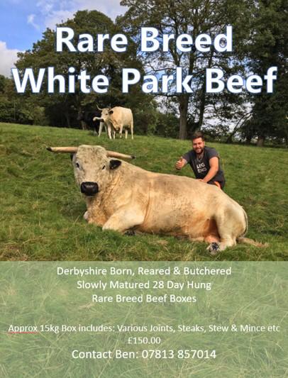 F8D311F1-9A2C-4E99-BEBD-4D0C66B34AE6