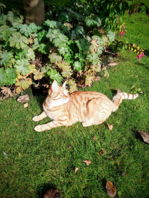 1A638374-902C-41B4-8C7B-DFD24BDC2572