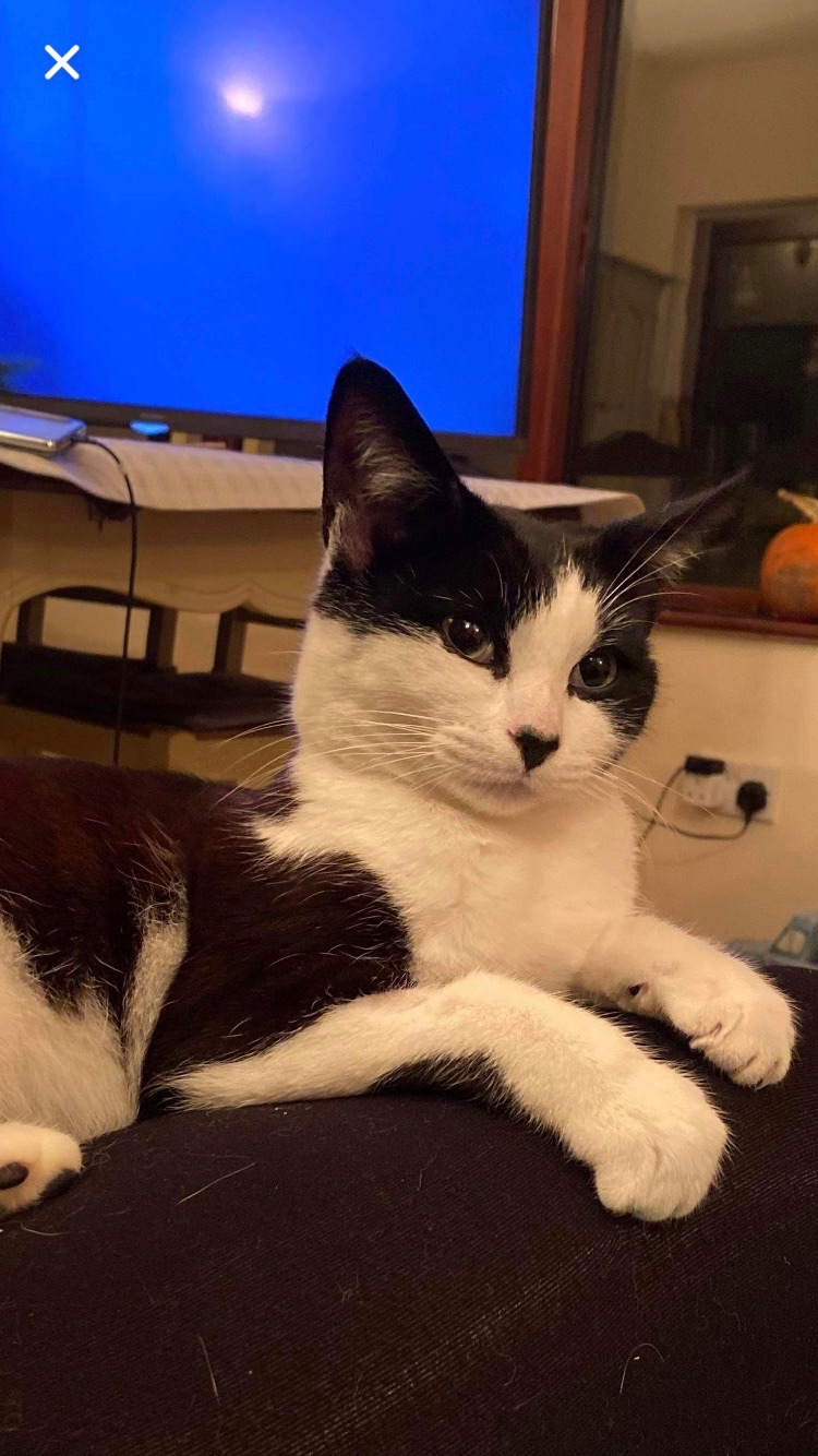 8779E849-4D59-472D-B44C-26C455599D49